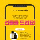 데이백뷰티 네이버블로그