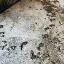 영신약국 이미지