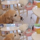 내서읍1353 이미지