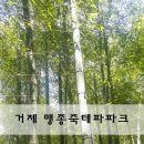 죽림낚시터 이미지