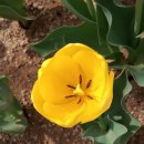 영신이발관 이미지