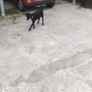 절골가든 이미지