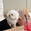카페 어스 이미지