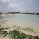 김녕해수욕장 이미지