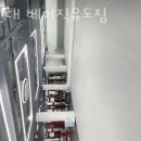 대조점기아오토큐 이미지