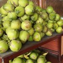 성찬농장 이미지