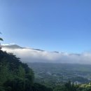 CU 소주공단점 | 세브란스 담낭제거수술 | 50대 남성 입원 1~3일차 후기 | 상세한 진료 내시경 검사 과정 | 수술 비용...