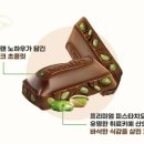 다막 이미지