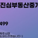 주식회사진심부동산중개법인 네이버블로그