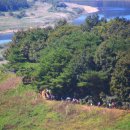 연강나룻길 C코스 이미지