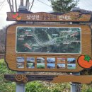 송금녹색농촌휴양마을 이미지