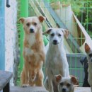 비비모텔 이미지