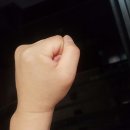 강서구 화곡2동 주민센터 3층 다목적실 이미지