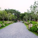 송림공원 주차장 이미지