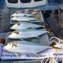 테우안경 이미지