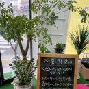 김제과일왕