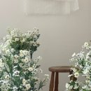노마스스튜디오