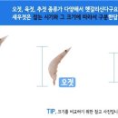 성안호 이미지