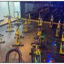 그릿 피트니스 이미지