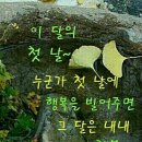 홍교가든 이미지