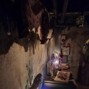 씨유 압구정신사점 | [가로수길 칵테일바] 버드맨 후기/ 칵테일, 안주, 분위기 좋은 곳