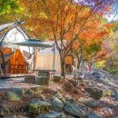 코코비발디 캠핑장 이미지