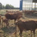 강성인농장 이미지