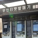 제주 일출봉 해안 일제동굴진지 | 제주도 동쪽 코스 제주 성산일출봉에서 갈치조림맛집 제주뚝배기까지