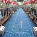 귀재농장 이미지