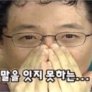 더쿡(The Cook)