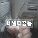 네일더감동 이미지