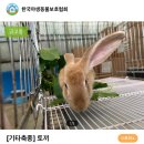 신영재동물병원 이미지