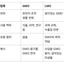 GMO LMO 이미지
