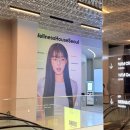 웰니스크리닉 | 강남역 가볼만한곳 웰니스하우스 서울 스웰니시 카페 이너뷰티 충전 후기