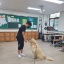 진안중학교 이미지