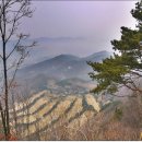 삼죽면사무소 이미지