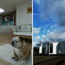 유익농장 이미지