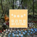 유리의 성 ☆ 제주 유리 박물관 이미지