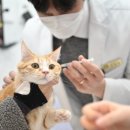 원러브동물의료센터 이미지