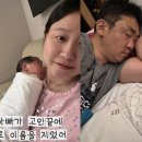 나는꼬북이