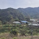 산적농장 이미지