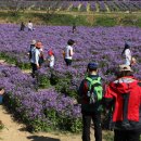 물결속으로 이미지