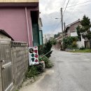 생달막국수 | 속초 생활의달인 맛집 솔밭가든 막국수