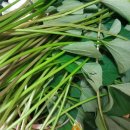 해순농장 이미지