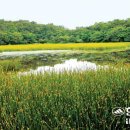 [제주도, 언어의 갈라파고스 26] 2부 한라산-(22) 물장오리오름 이미지