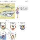 19회 한국사능력검정시험 중급 6번 해설 : 신라 초기의 무덤 돌무지 덧널 무덤 이미지