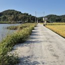 덕동정미소 Daum카페