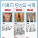 코디에코하우스 이미지