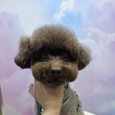 오늘 더 예쁘개 이미지