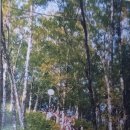 [빛역사]02.08.16~17 백두산 2차 방문(백야현상, 천재문 낭독과 자연의 변화, 천지에서 건진 우주마음의 선물) 이미지